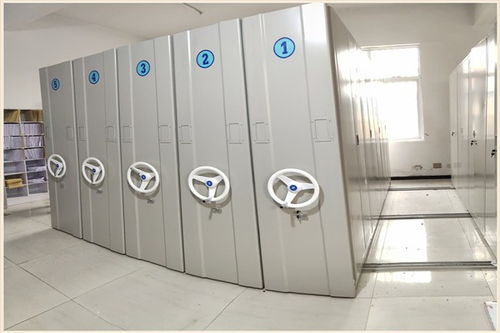 襄城密集檔案資料柜學(xué)生床